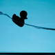 Illustration for article titled 23 Hilarious, Weird, and Funny Science Photos From Fermilab